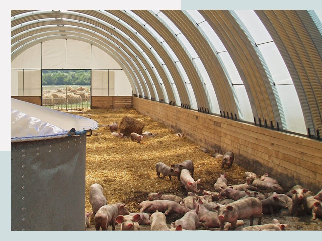 Строительство свинарников в Светлограде